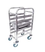CARRO 6GN 38*55*100