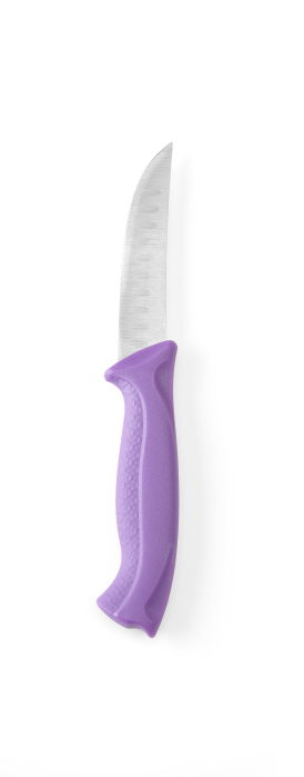 FACA UNIVERSAL 100MM HACCP VIOLETA HENDI